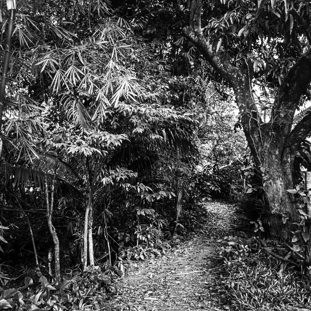 Here Lies The Soul of the&nbsp;Tricked