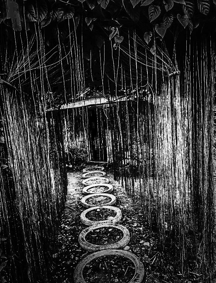 The Heart That Once Loved True Lies&nbsp;Here