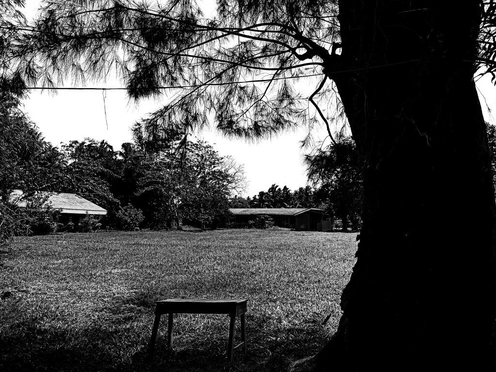 Bullying: a reality, not&nbsp;poetry