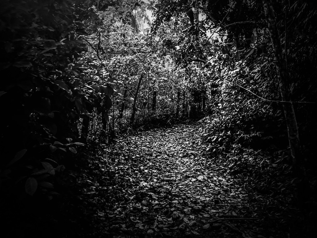 She finds solace in the&nbsp;shade